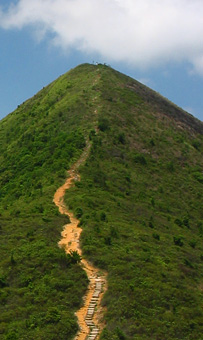 尖削的針山