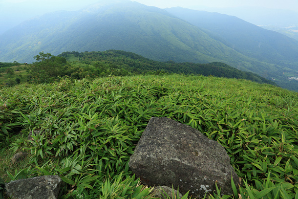 草山