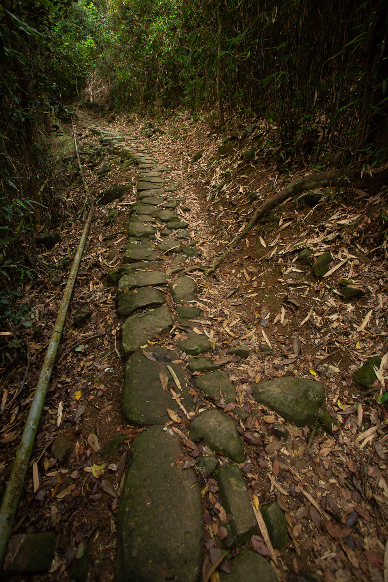 北港古道