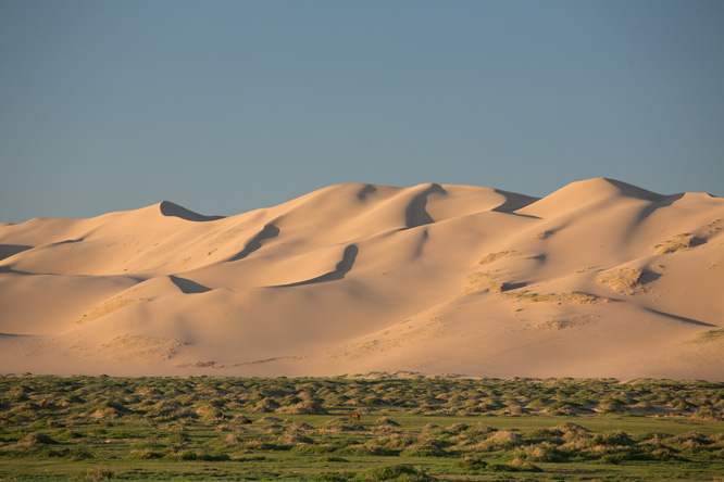 旭日下的沙丘