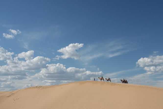 遊旅客騎乘駱駝遊園