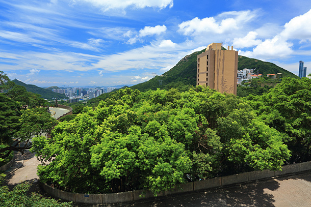 黃泥涌峽