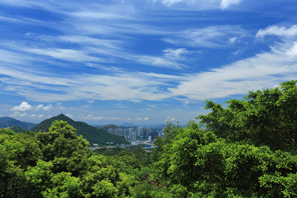 天氣極佳