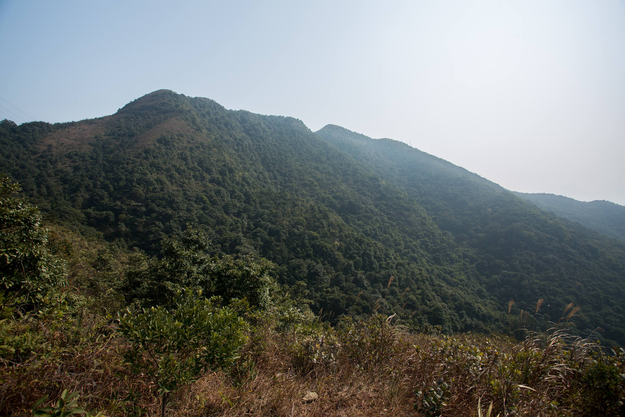 東山