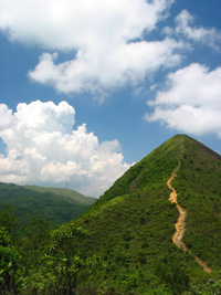 針山