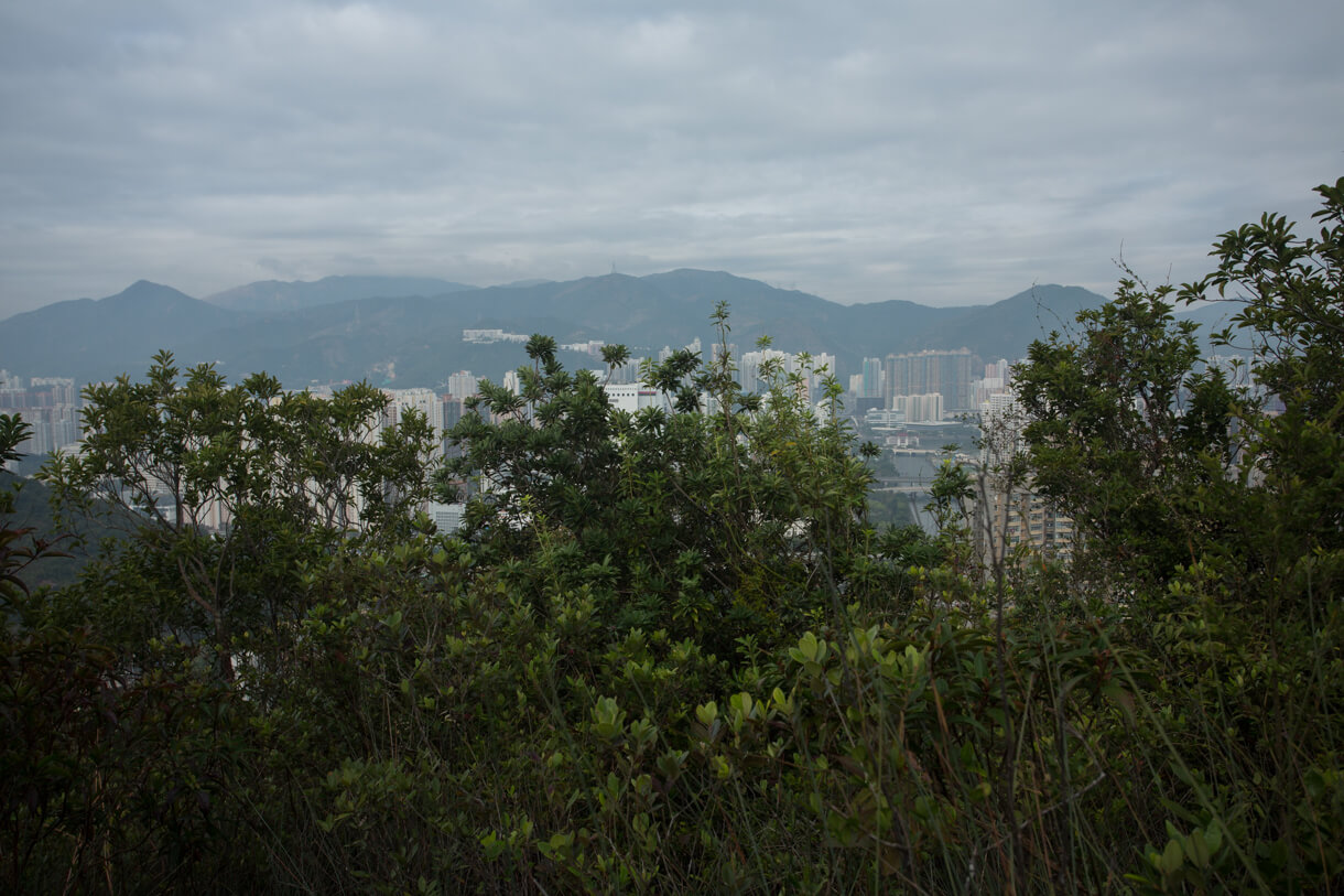 針山與草山