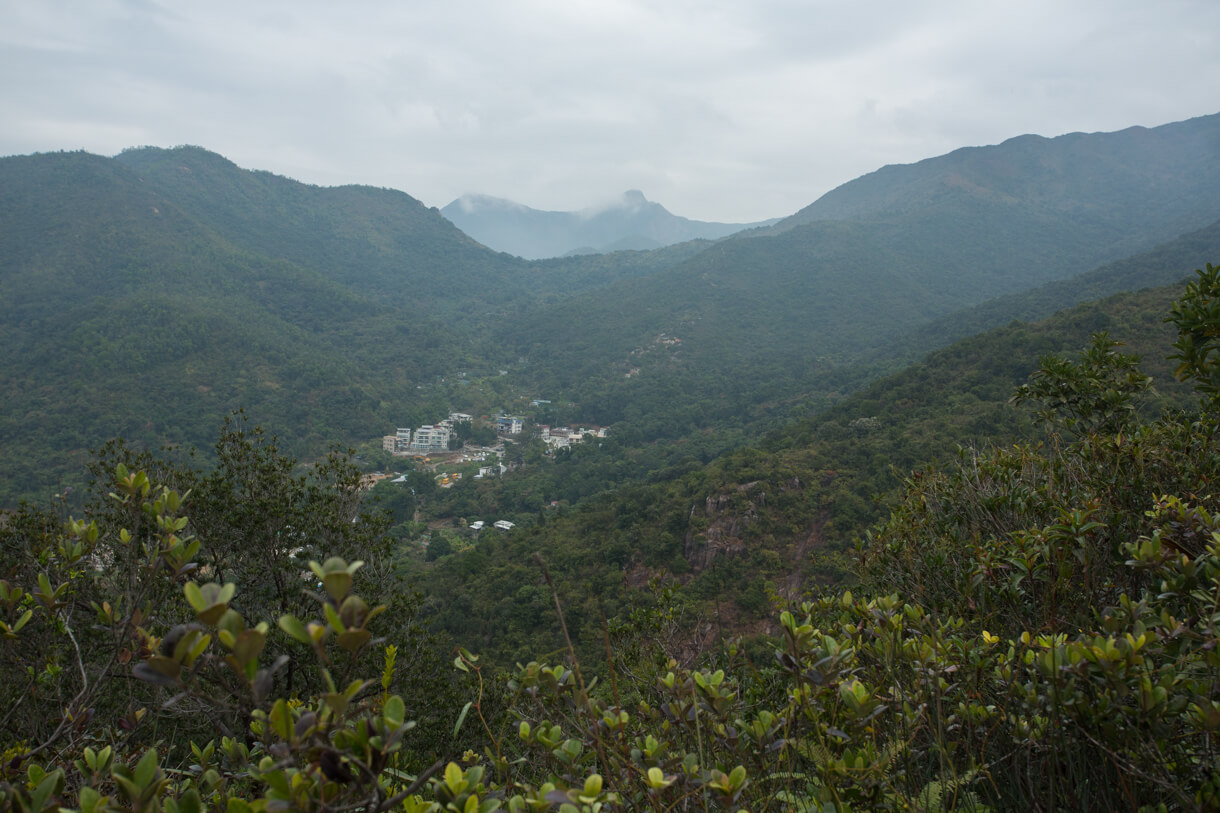 茂草岩