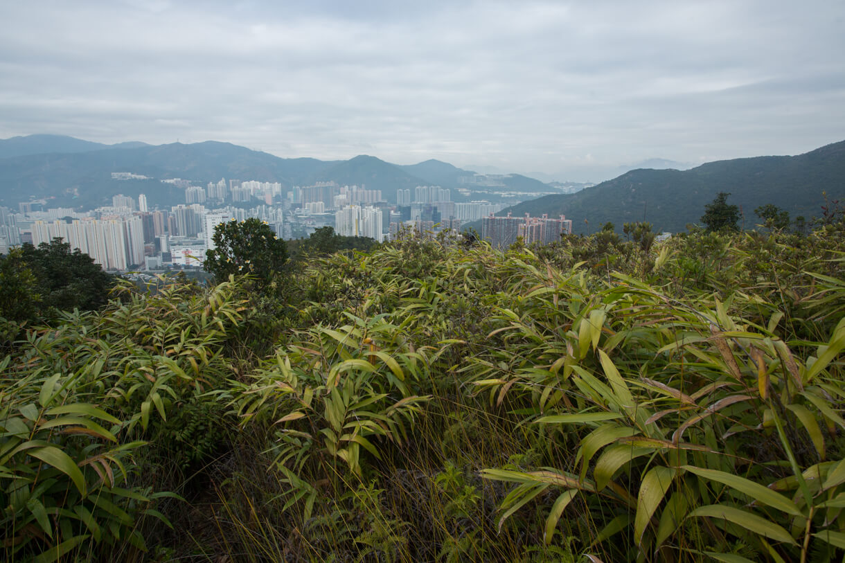 牛坳山