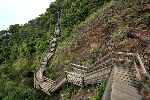 昂坪棧道行山路線