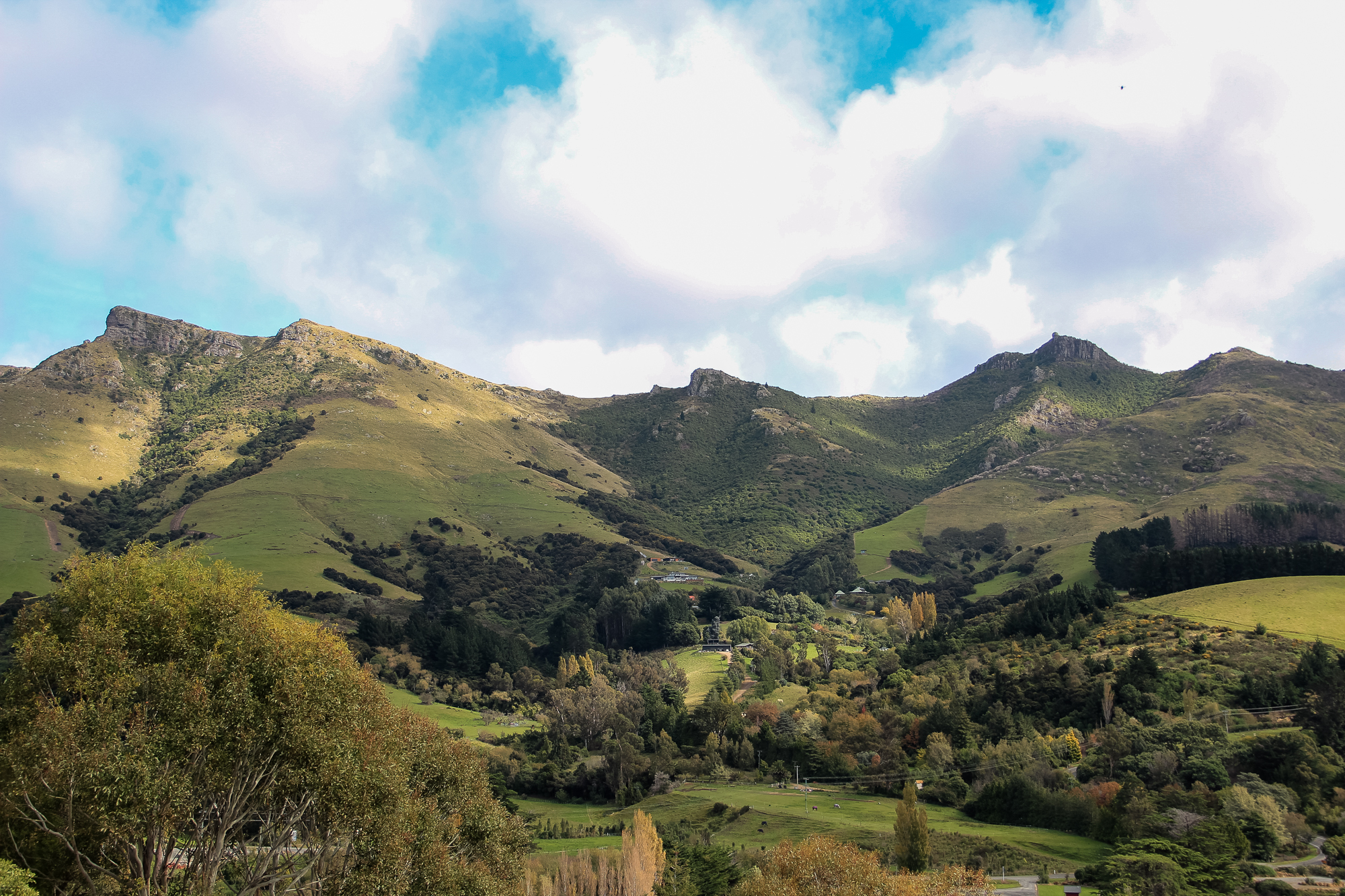 驅車熟習一下當地的道路環境