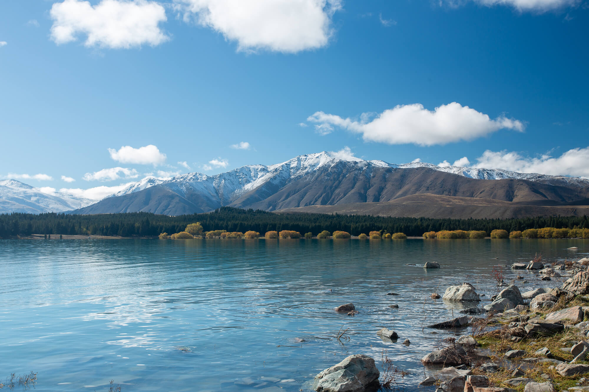 在Lake Tekapo湖邊閒晃