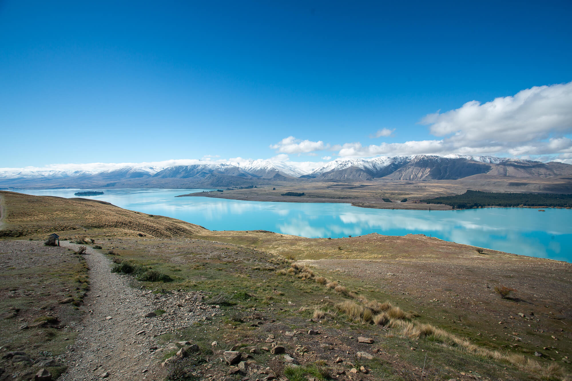 Lake Tekapo