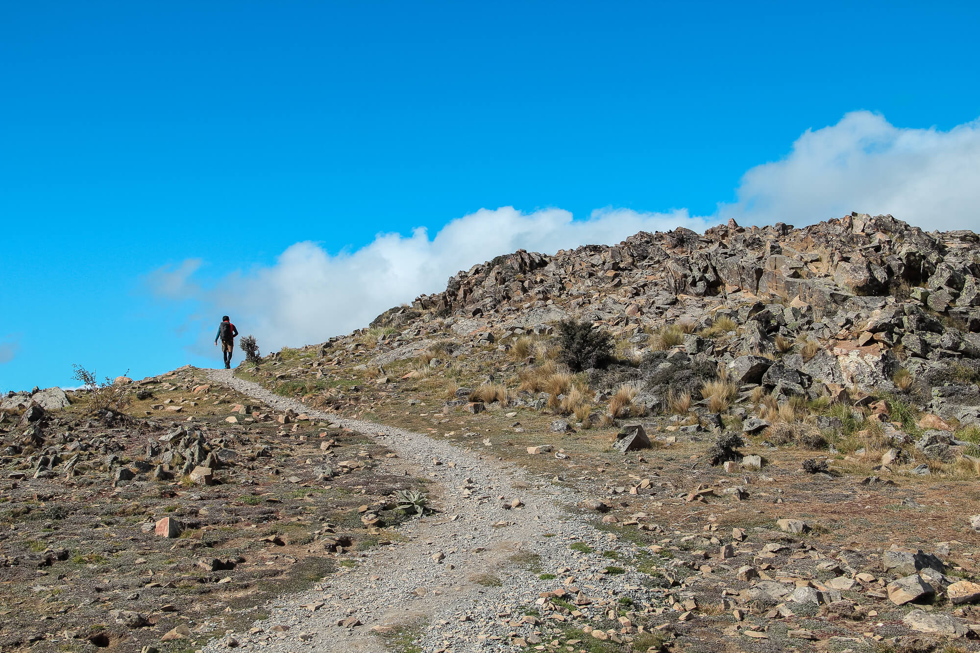 朝著Mount John Observatory進發