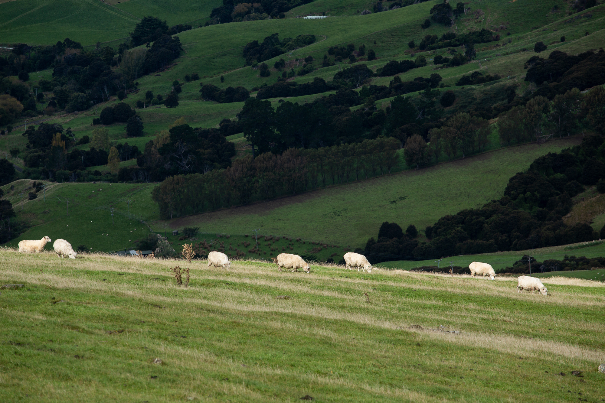 時間像是停頓了