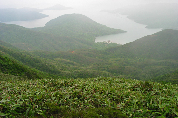 牌額山