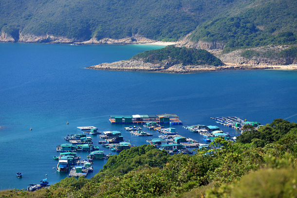 沙橋頭