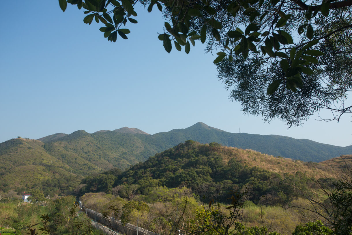 梧桐山西陵