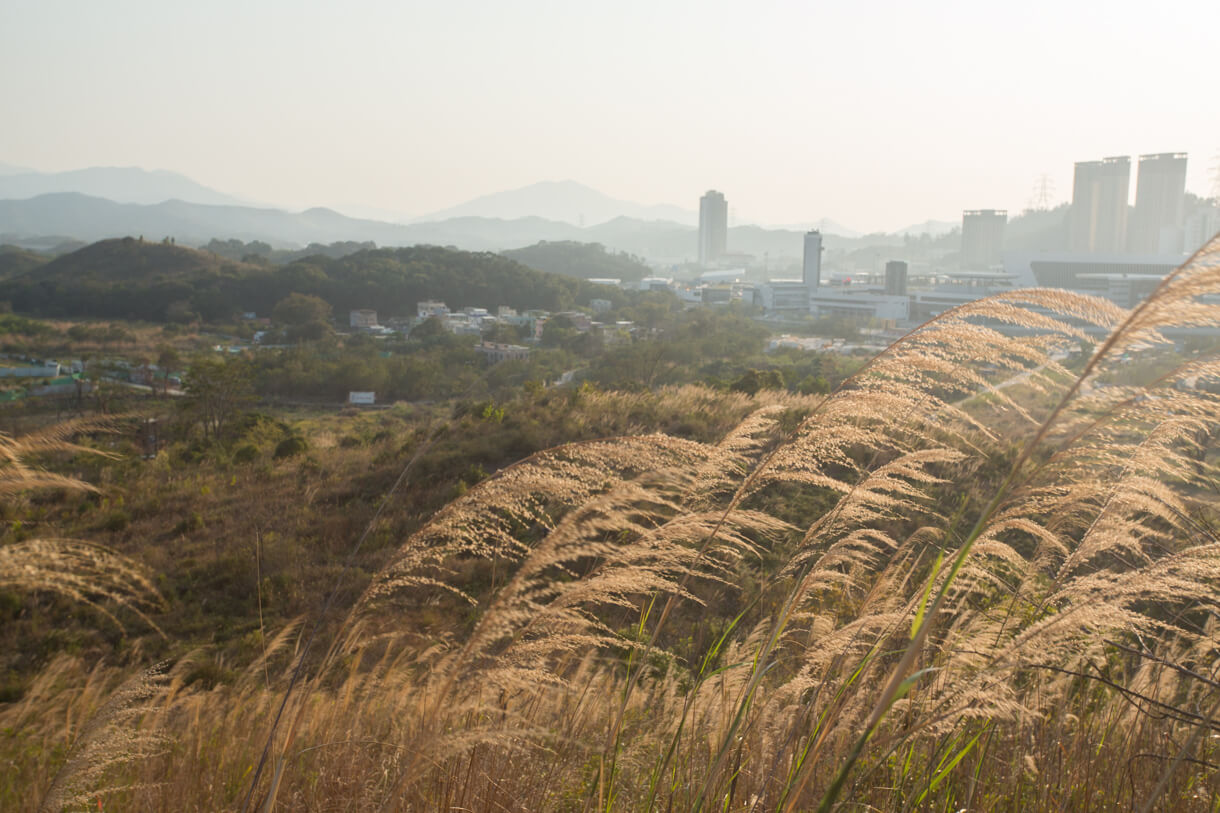 白虎山