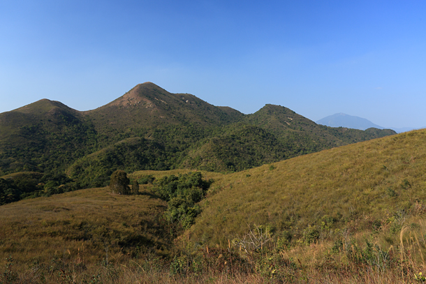 龜頭嶺