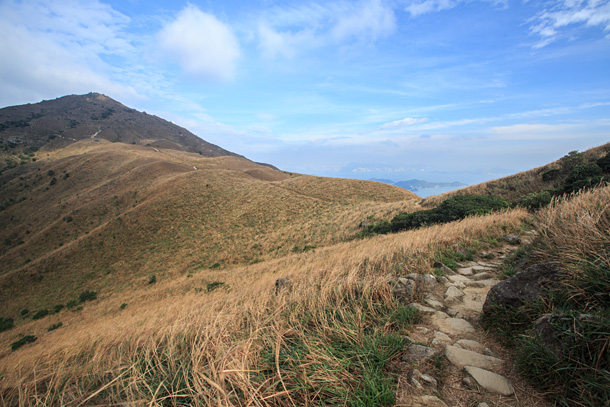 抵雙東坳