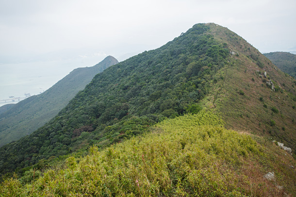 萡刀屻