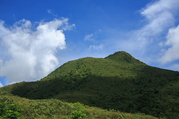 快到山腹徑