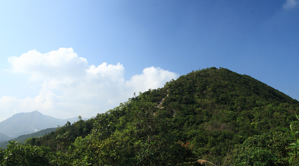 鷓鴣山景致