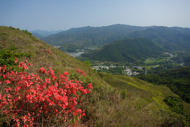 海背嶺