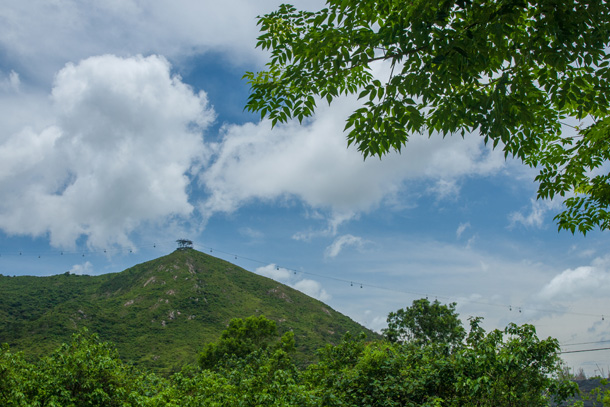 萡刀屻