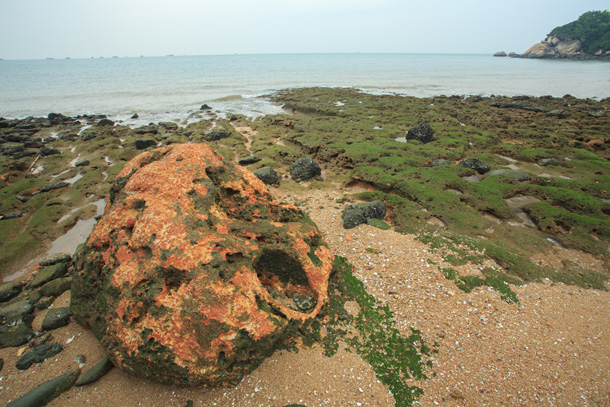 海岸