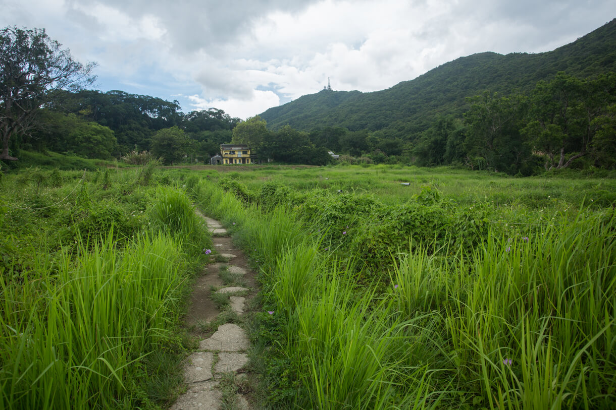 越過田野