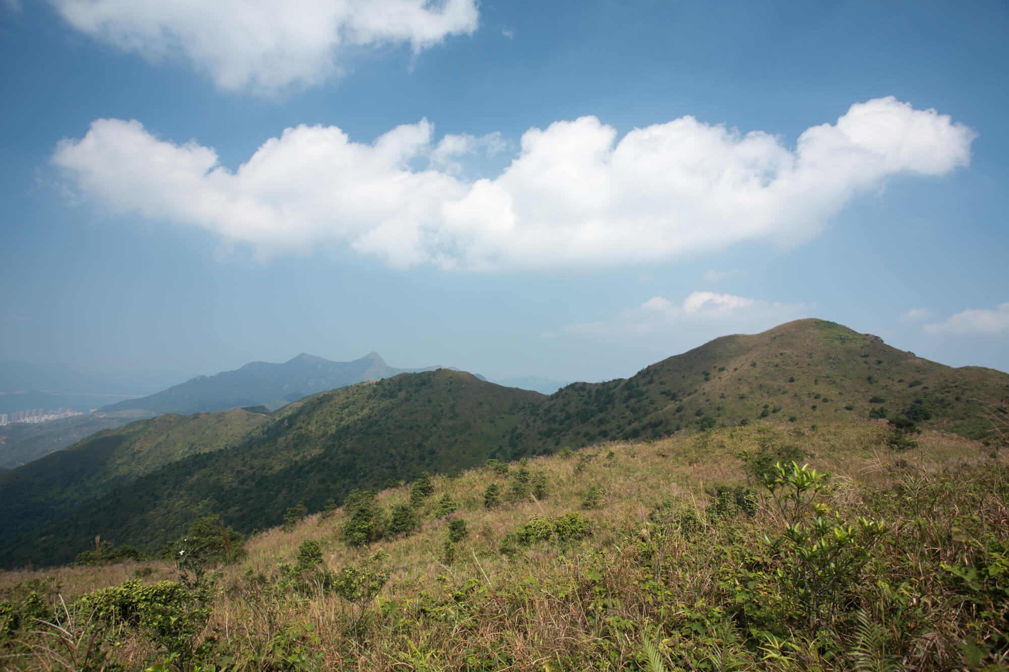 水牛山