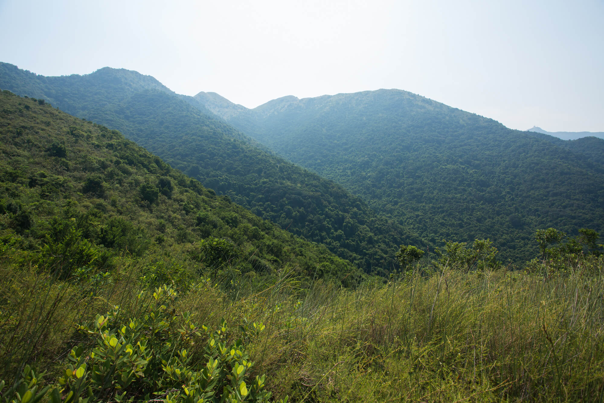 黃牛山