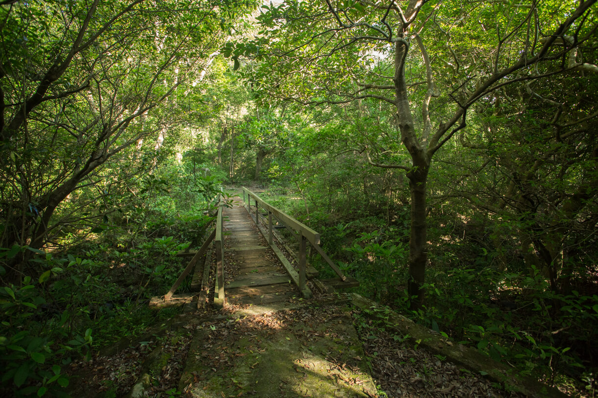 橫過舊木橋