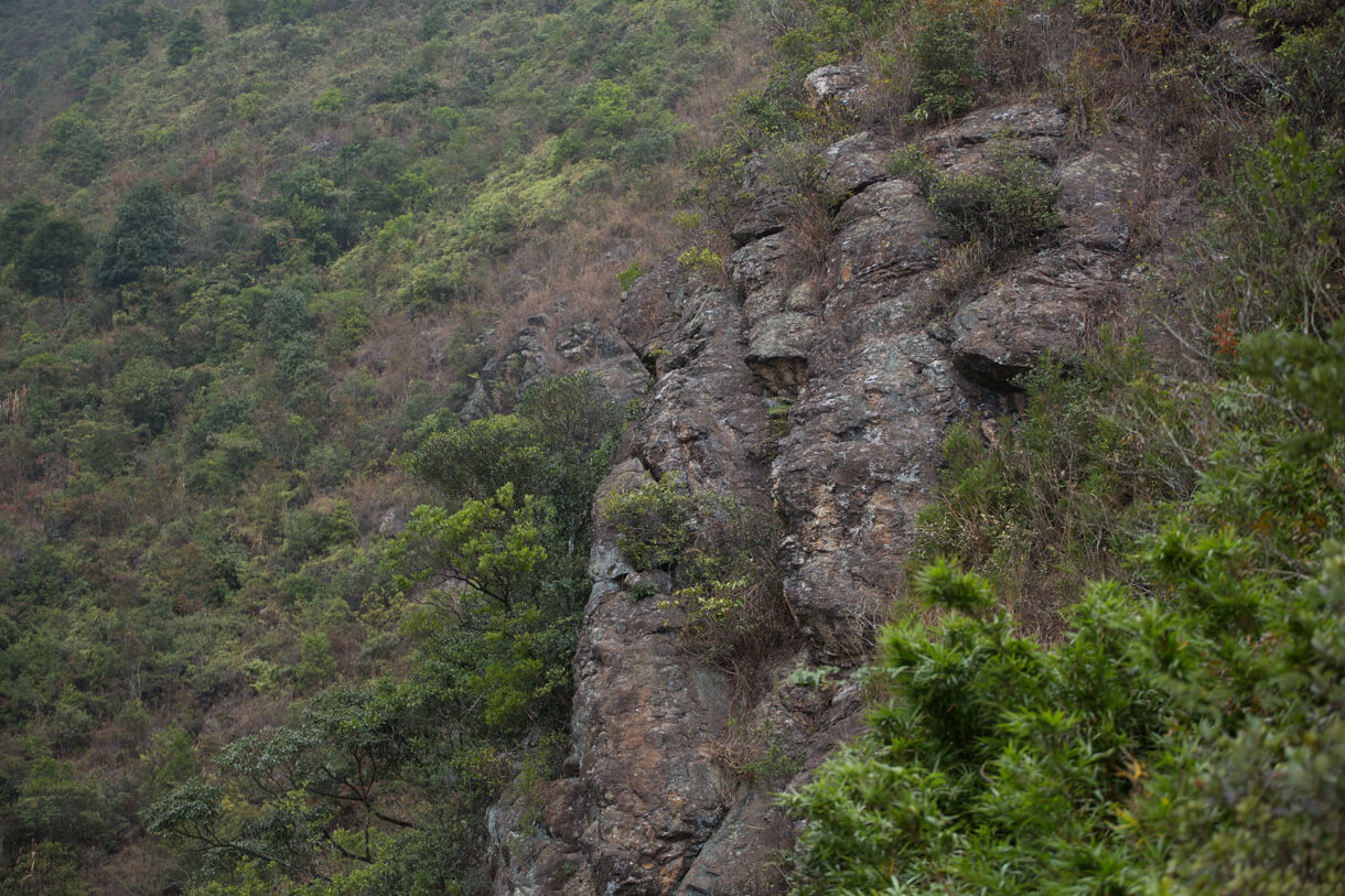 純陽峰