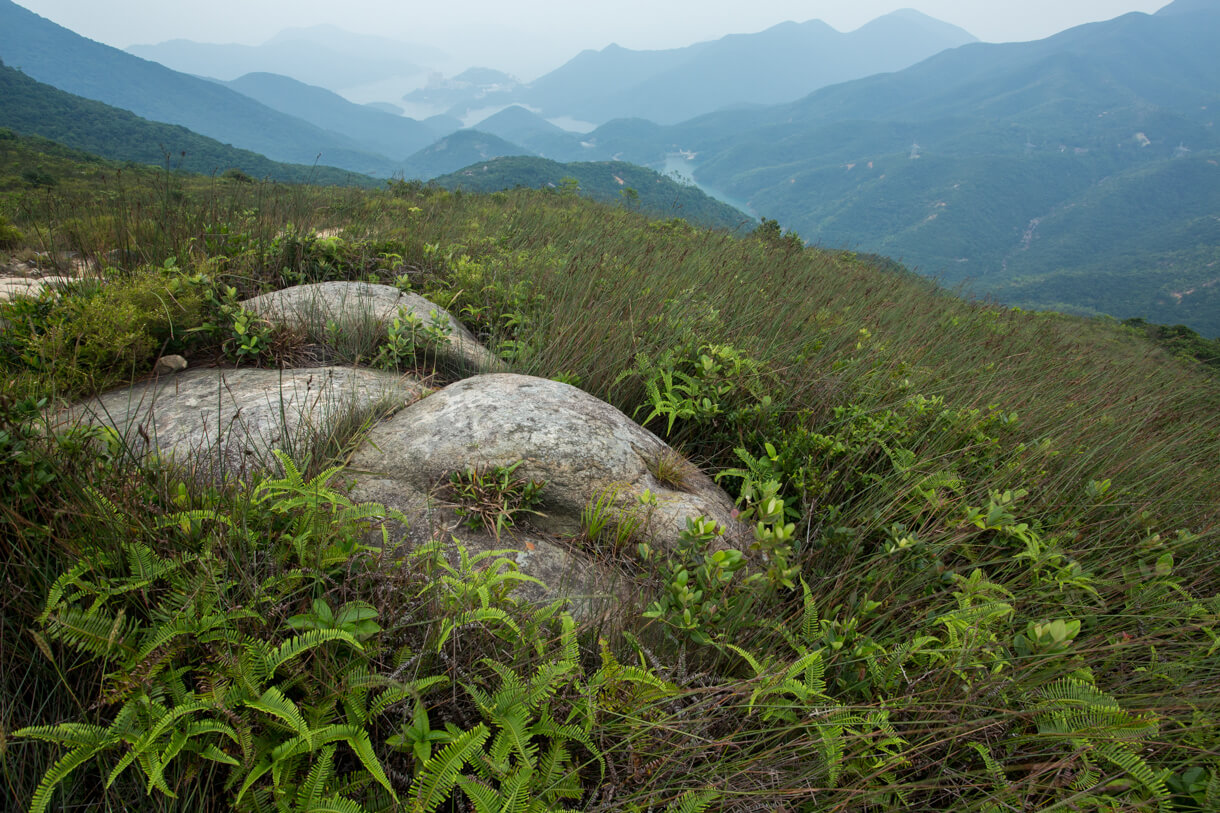 走近小馬山