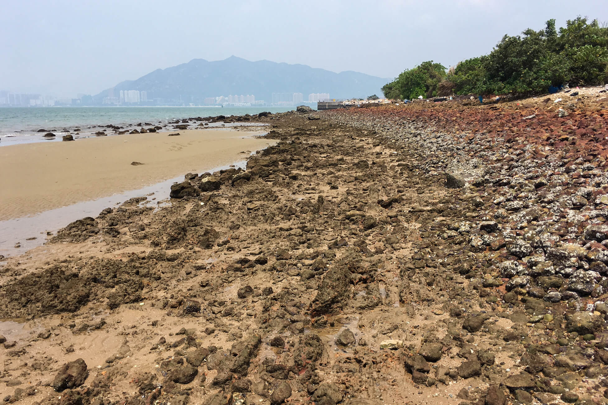 開始沿岸綑遊