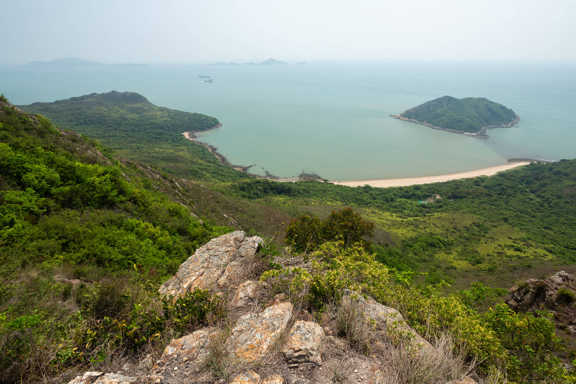 左煎魚灣，右雞翼灣