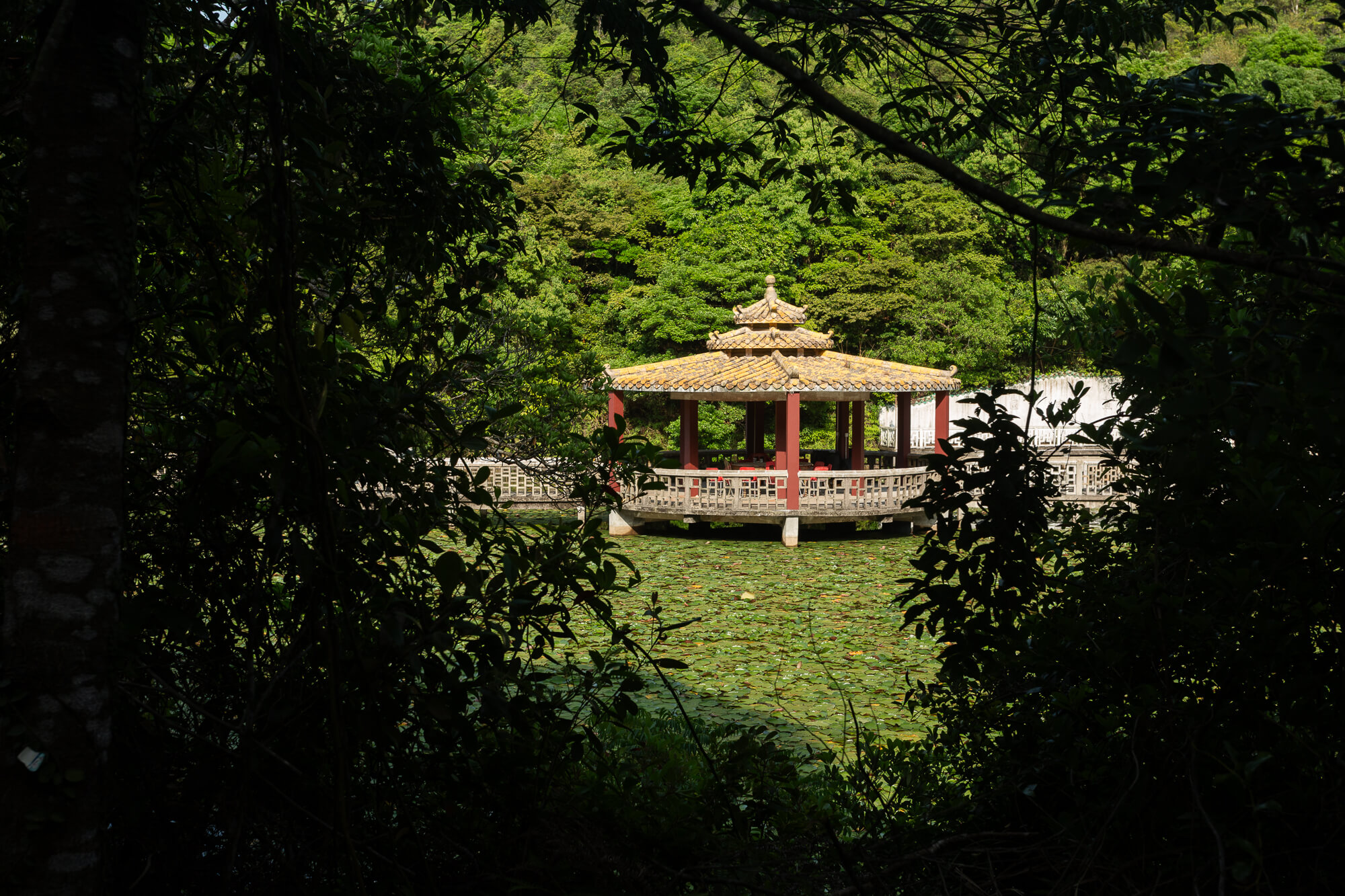 龍仔悟園