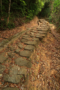 南山古道