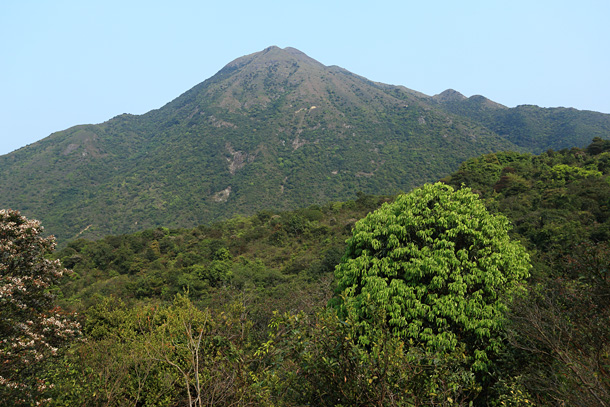 大東山