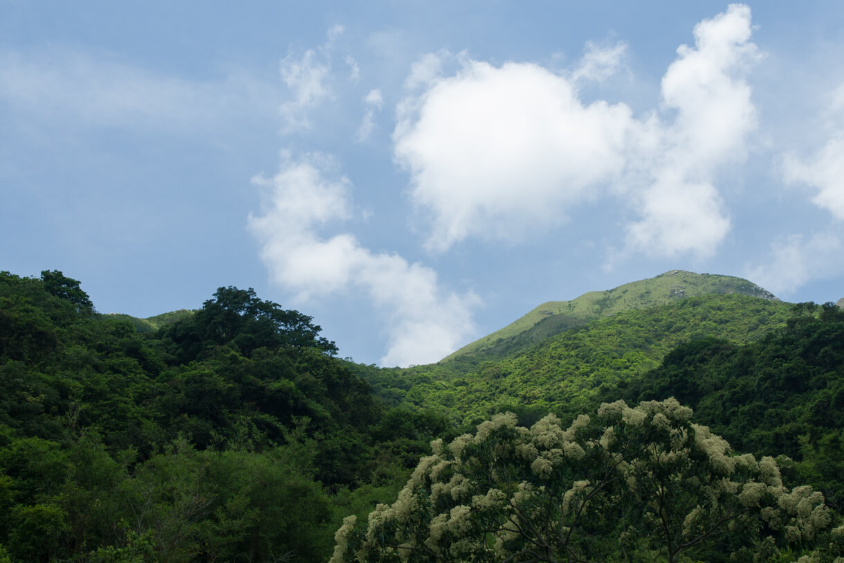 鳳凰山