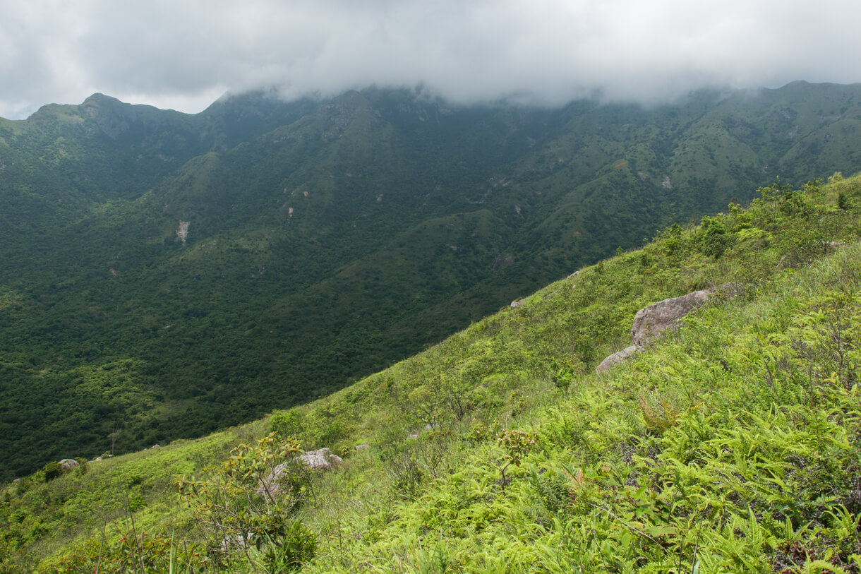 山頭被密雲覆蓋