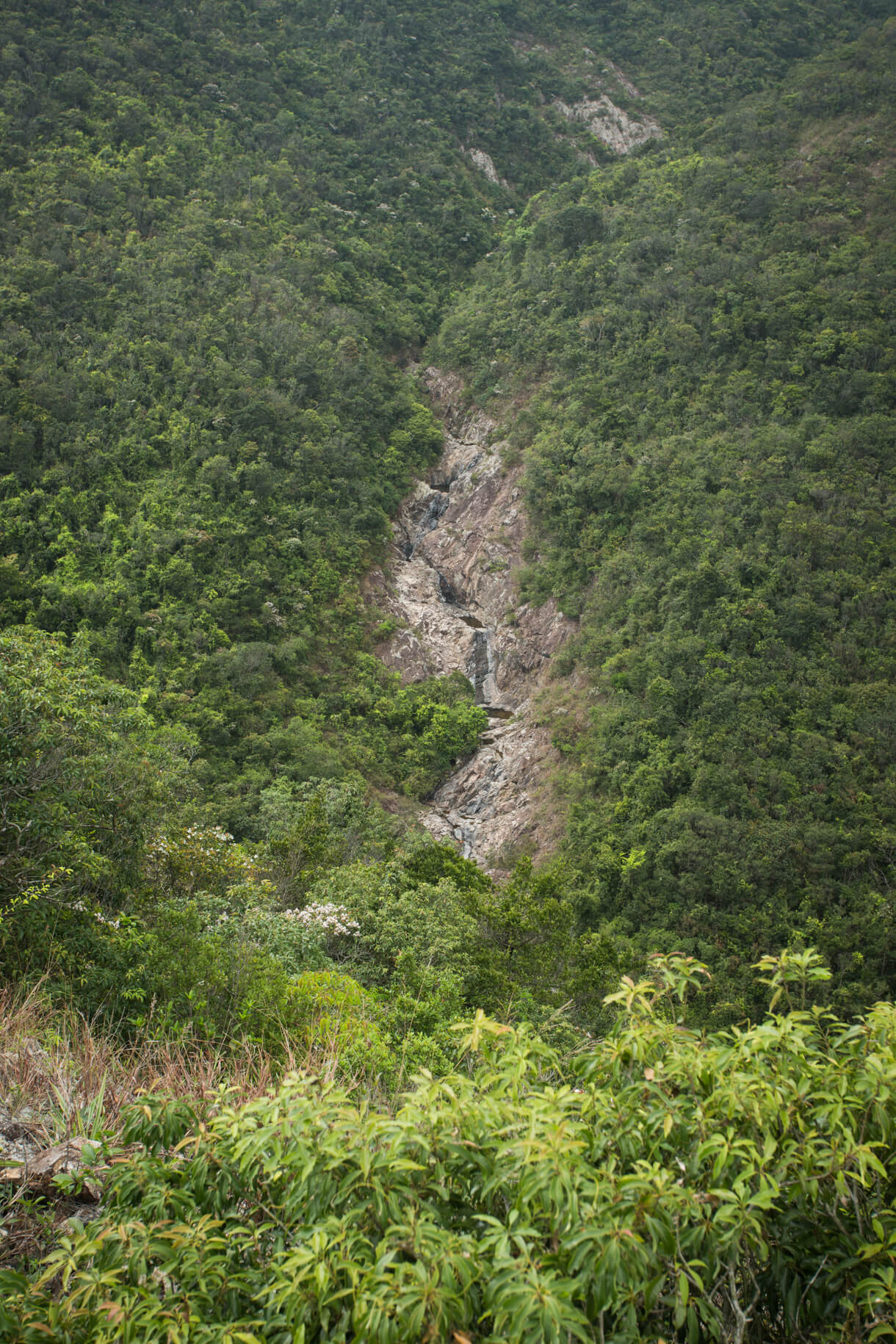 老虎山與馬坑山間的山谷