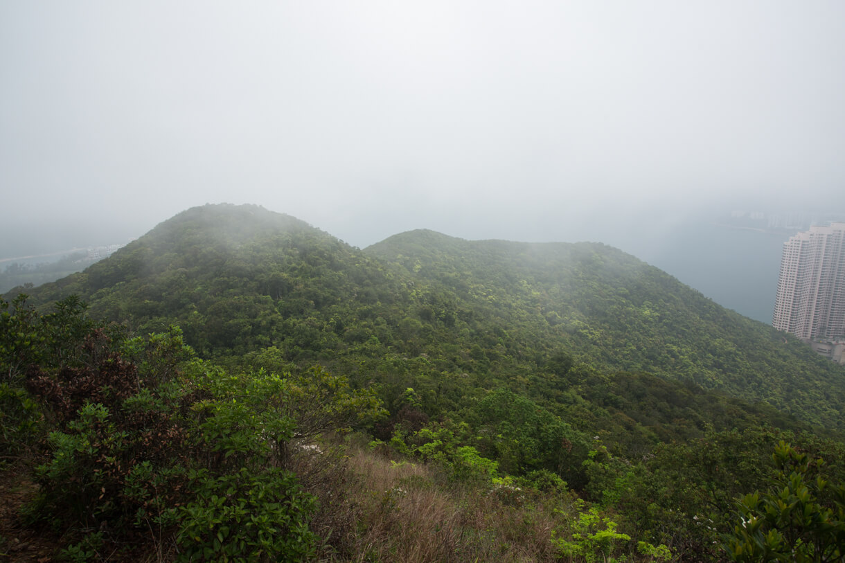 霧中朝龜山進發