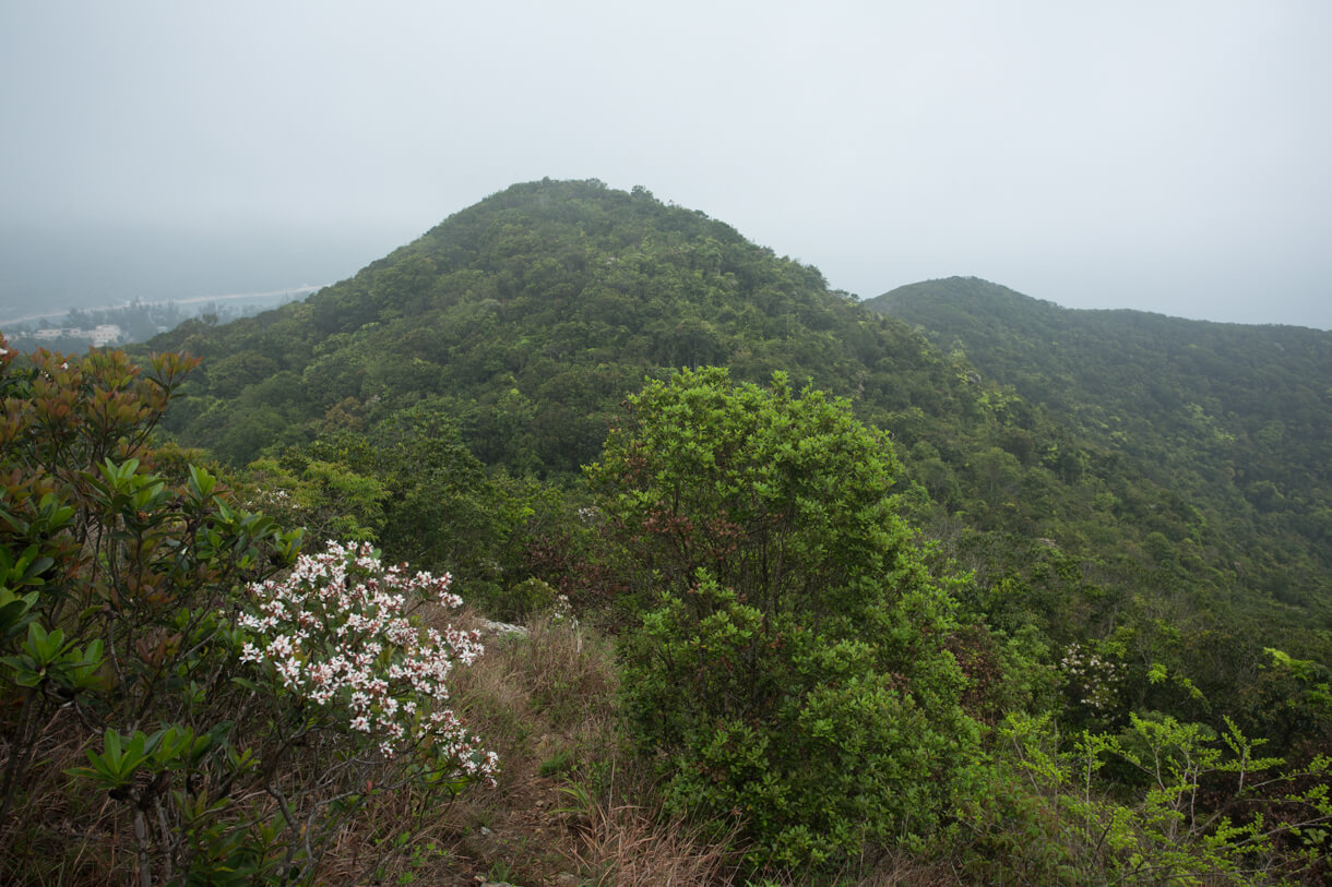 馬坑山