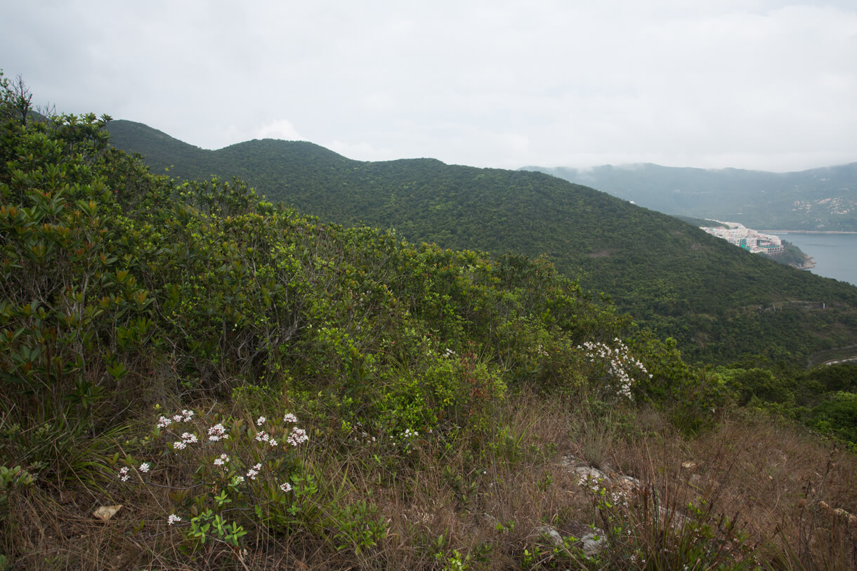 攀上半山台地