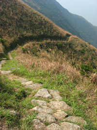 郊遊徑可下接東涌