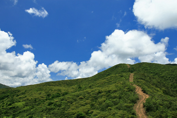 路徑清晰