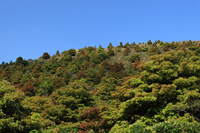 虎蹤徑行山路線